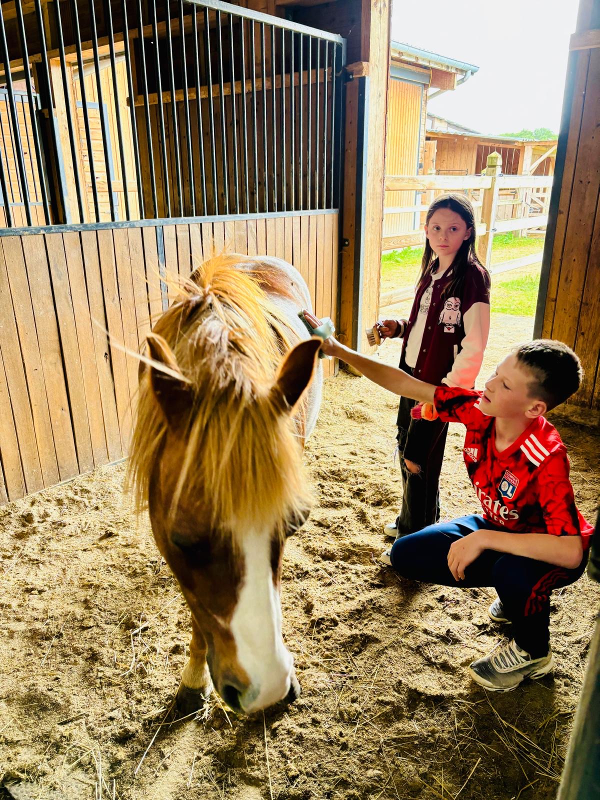 enfants caressant cheval dans l'écurie