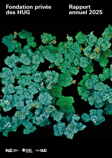 Rapport d'activité 2025